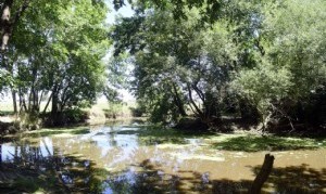 La Plata: La justicia hizo lugar al planteo del municipio y ordenó frenar las obras del arroyo El Pescado