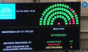 El Senado volteó el veto a la Emergencia en Discapacidad