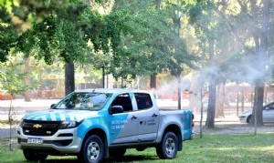 La Plata: fumigan puntos estratégicos y refuerzan los operativos para evitar la reproducción de mosquitos