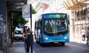 Transporte público gratuito en las elecciones provinciales y nacionales
