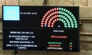 El Senado rechazó  Ficha Limpia