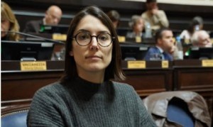 El PRO y la LLA presentan un proyecto para eliminar Ingresos Brutos en las facturas de luz, gas y agua