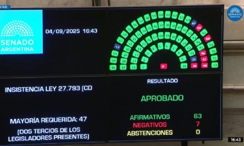 El Senado volteó el veto a la Emergencia en Discapacidad