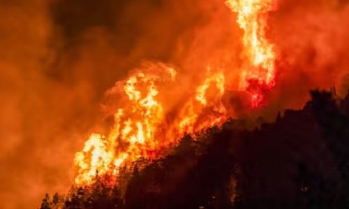 Milei declaró la emergencia ígnea en la Patagonia